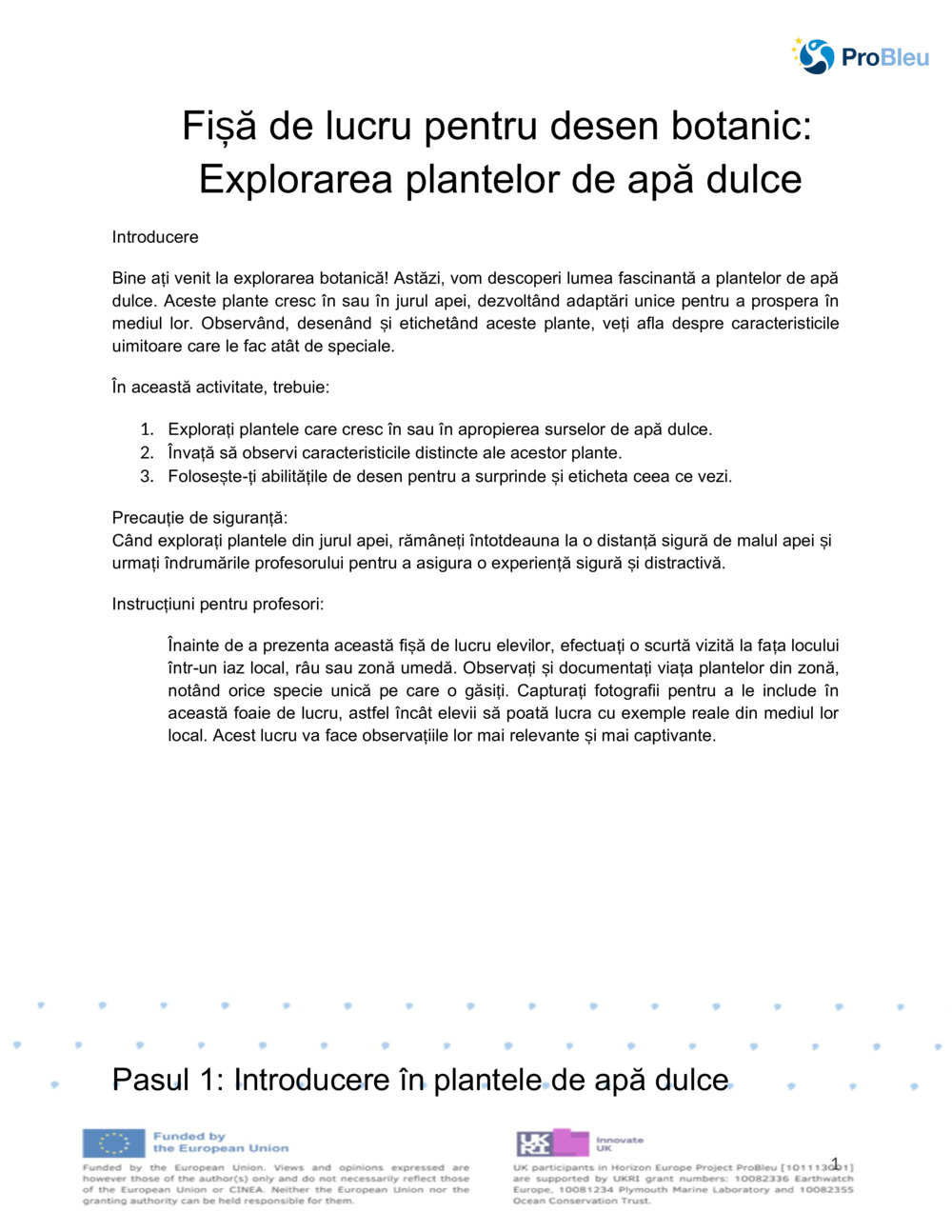  Fișă de lucru pentru desen botanic_0