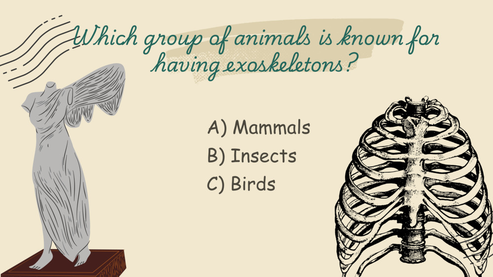 Exosekeleton, endoskeleton, ocean quiz _10
