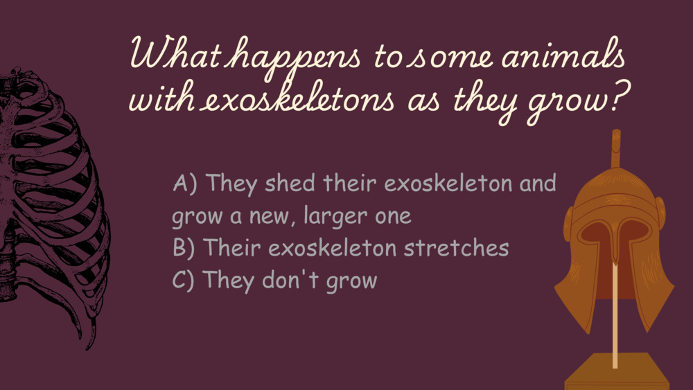 Exosekeleton, endoskeleton, ocean quiz _11