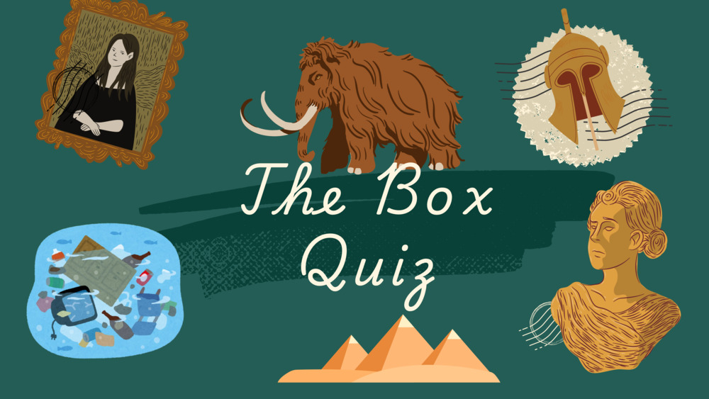 Exosekeleton, endoskeleton, ocean quiz _13