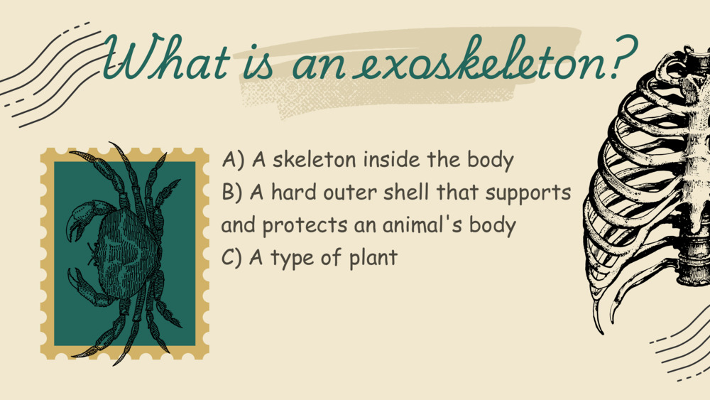 Exosekeleton, endoskeleton, ocean quiz _7