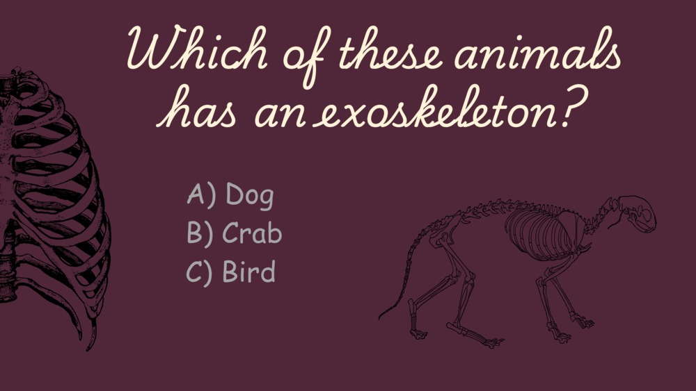 Exosekeleton, endoskeleton, ocean quiz _8