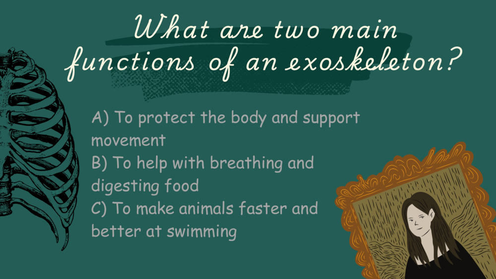 Exosekeleton, endoskeleton, ocean quiz _9