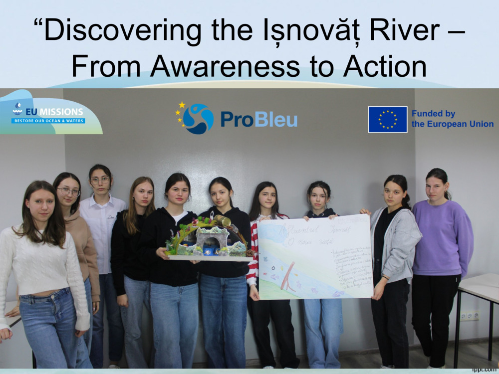 The Ișnovăț Stream – A Fresh Start_4