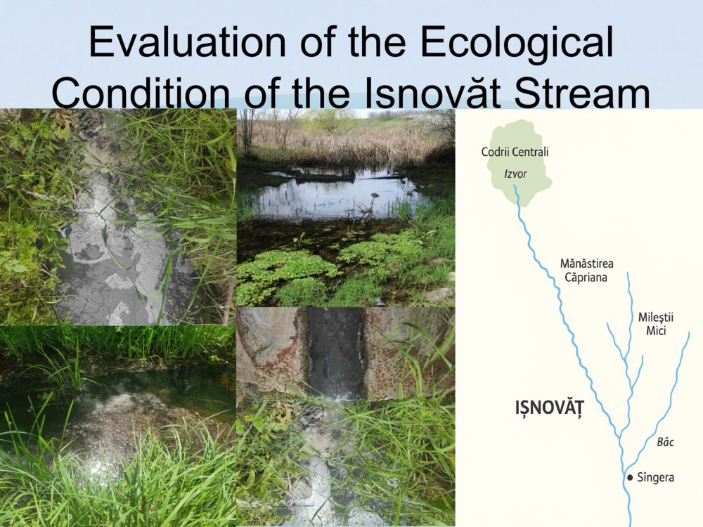 The Ișnovăț Stream – A Fresh Start_5