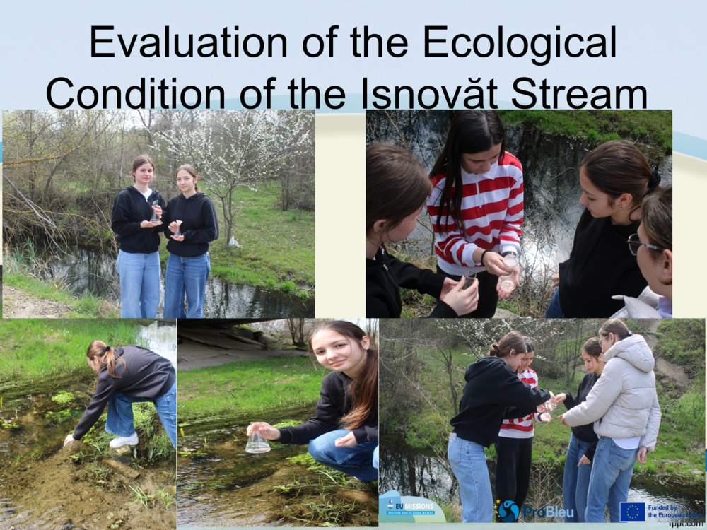 The Ișnovăț Stream – A Fresh Start_6
