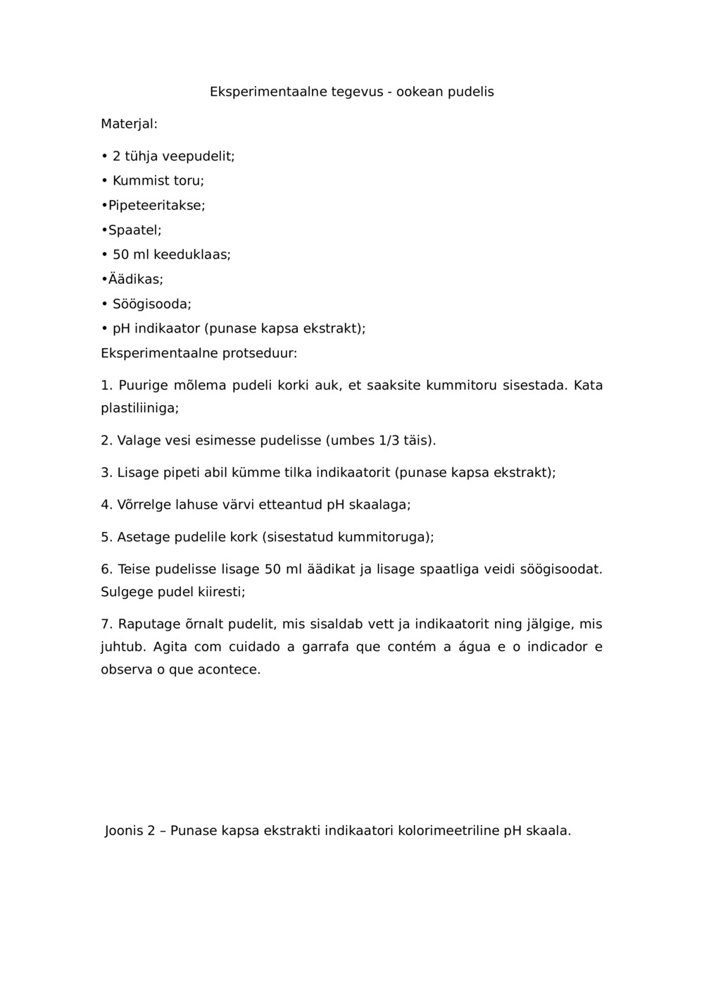 Eksperimentaalne tegevus - ookean pudelis_0