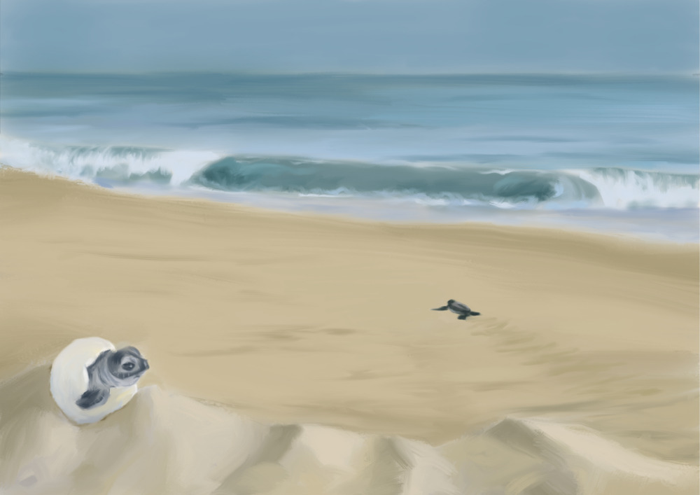 Story: Oceanus and the Children of the Sea_17