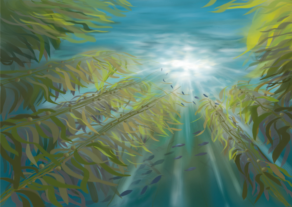 Story: Oceanus and the Children of the Sea_3