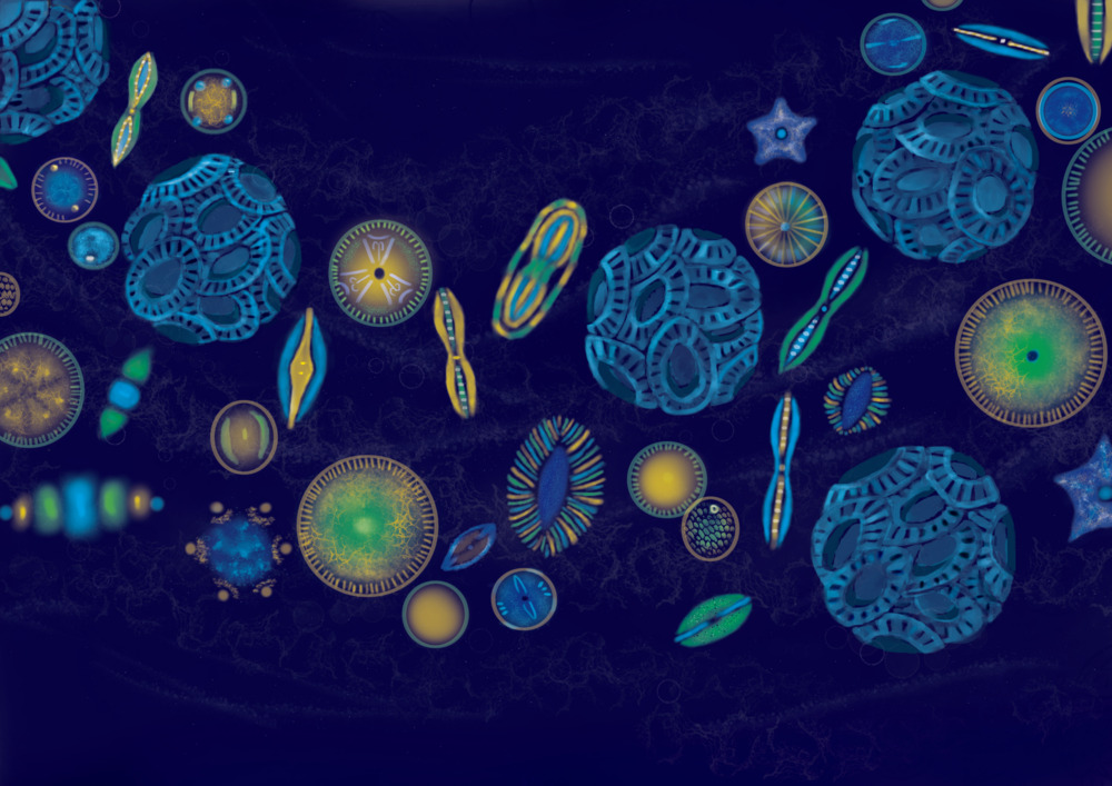 Story: Oceanus and the Children of the Sea_5