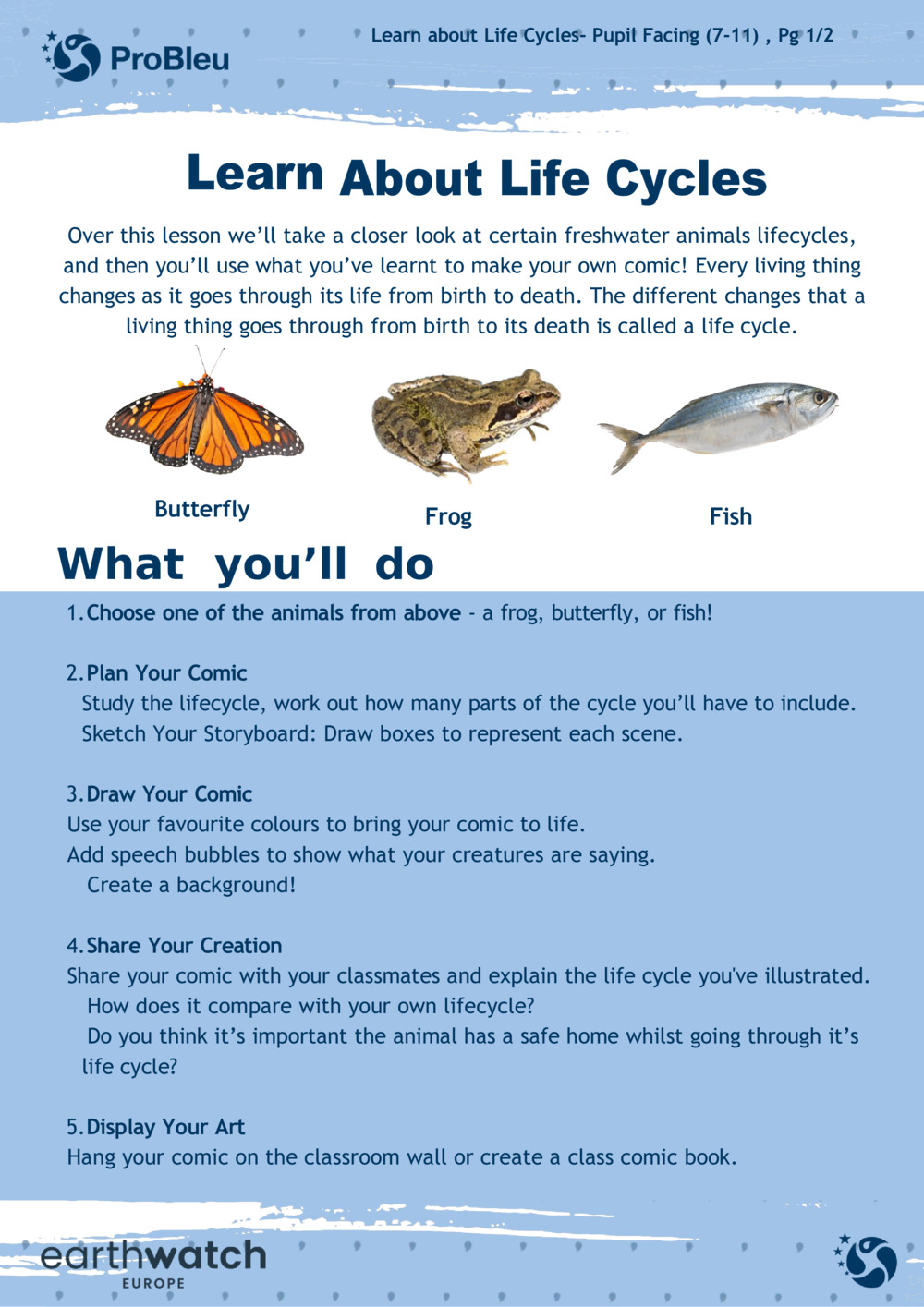 Learn About Life Cycles_0