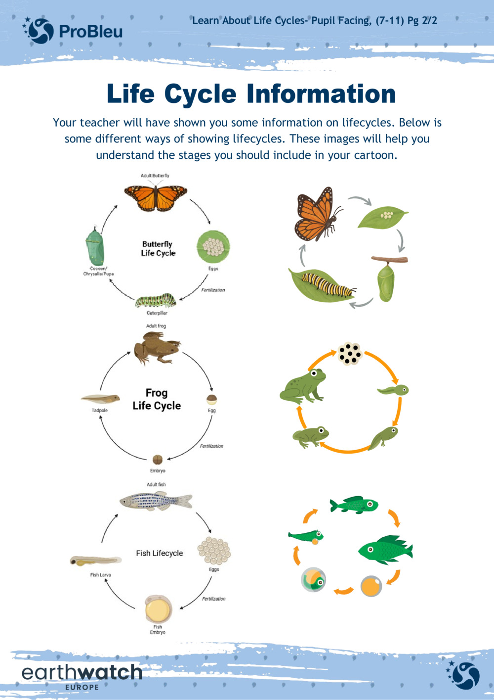 Learn About Life Cycles_1