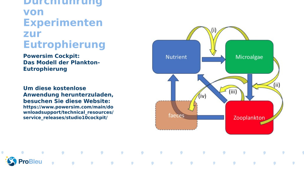 Durchführung von Experimenten zur Eutrophierung