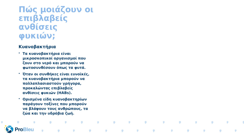 Πώς μοιάζουν οι επιβλαβείς ανθίσεις φυκιών;