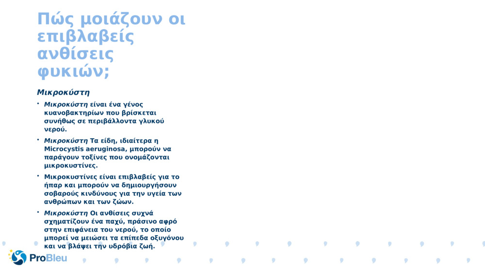 Πώς μοιάζουν οι επιβλαβείς ανθίσεις φυκιών;