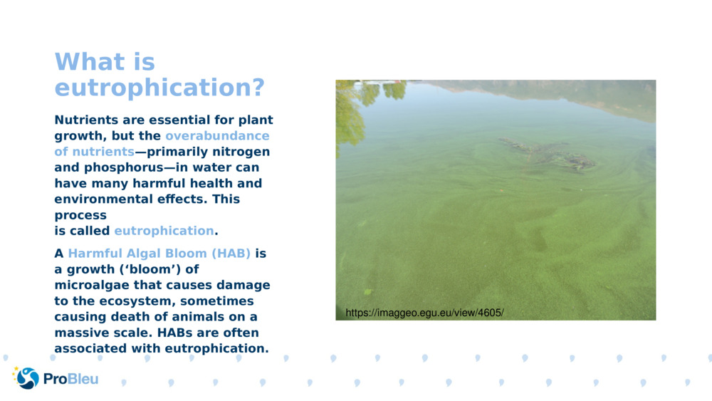 What is eutrophication?