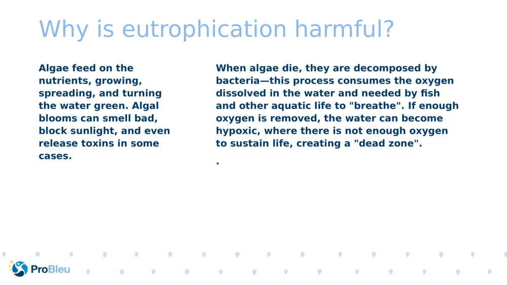 Why is eutrophication harmful?