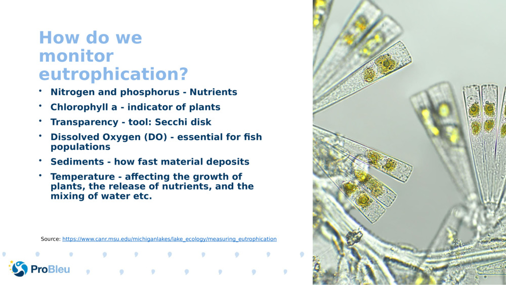 How do we monitor eutrophication?