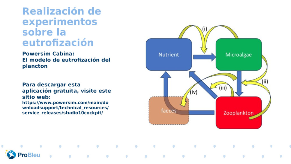 Realización de experimentos sobre la eutrofización