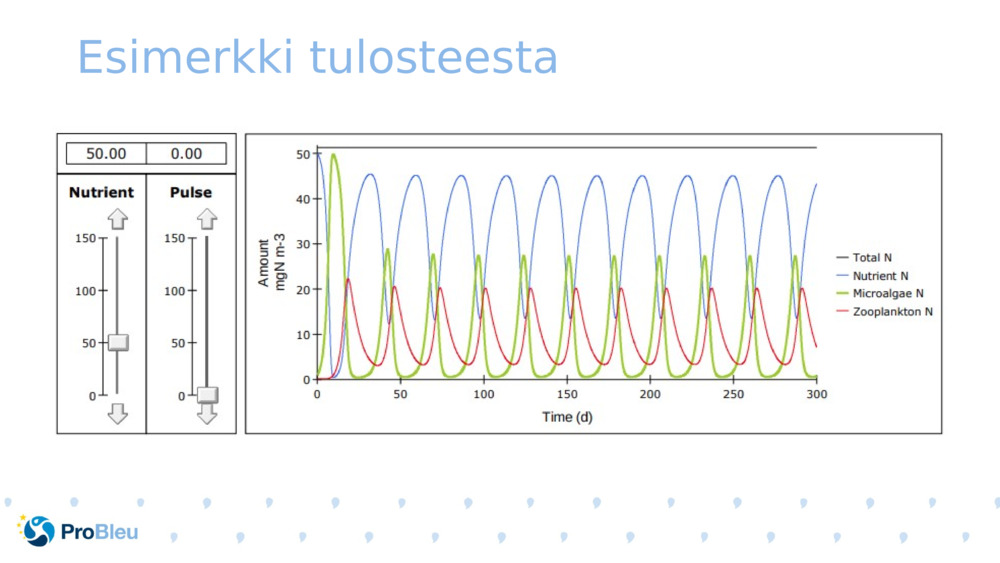 Esimerkki tulosteesta