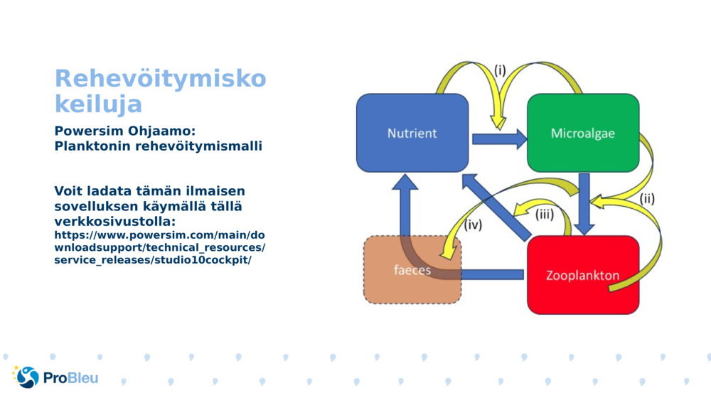 Rehevöitymiskokeiluja