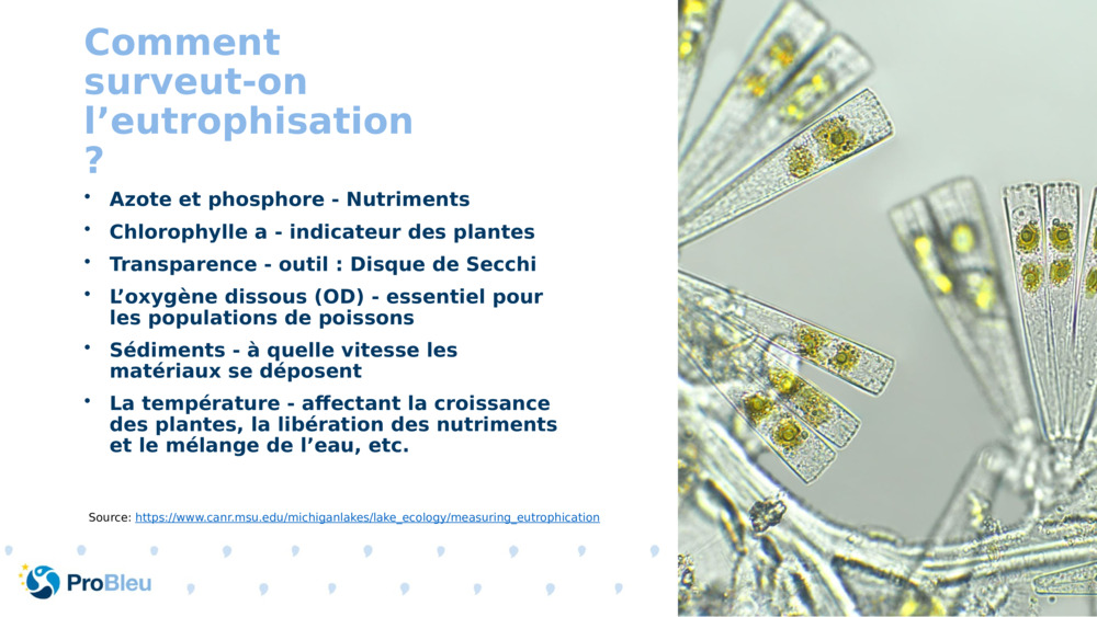 Comment surveut-on l’eutrophisation ?