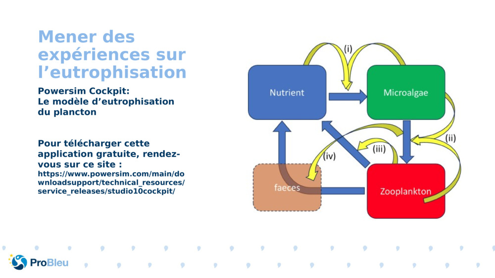 Mener des expériences sur l’eutrophisation