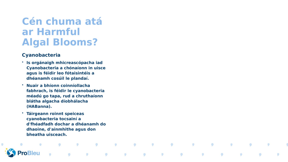 Cén chuma atá ar Harmful Algal Blooms?