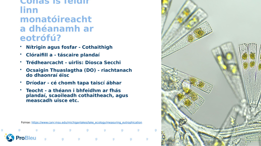 Conas is féidir linn monatóireacht a dhéanamh ar eotrófú?