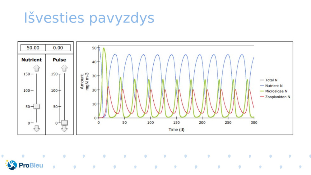 Išvesties pavyzdys