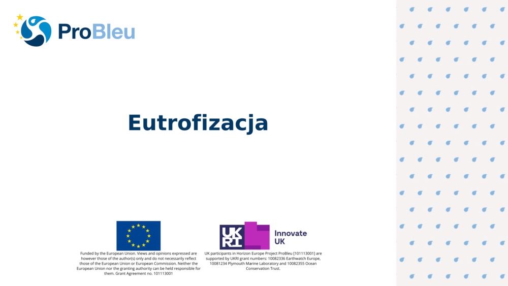 Eutrofizacja