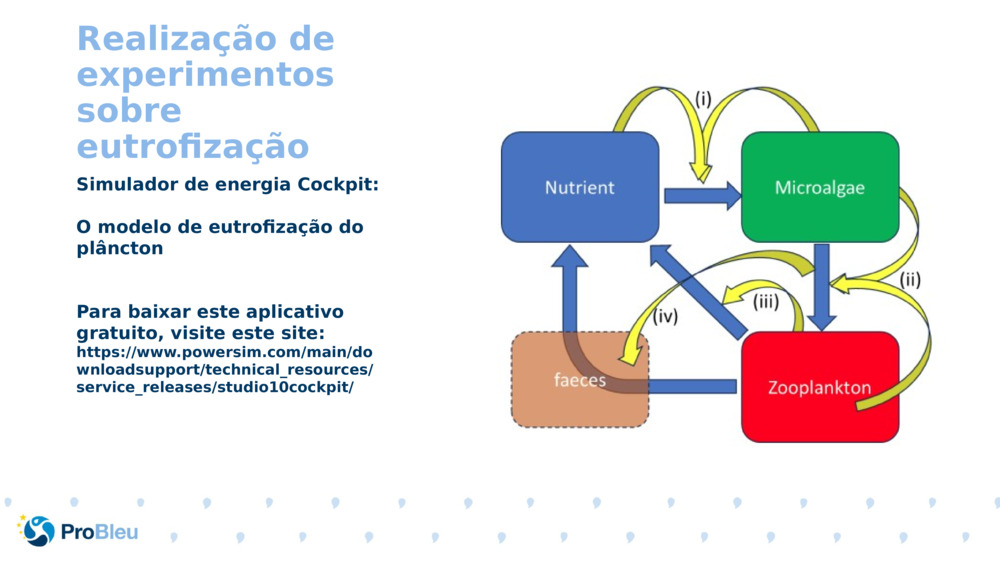 Realização de experimentos sobre eutrofização