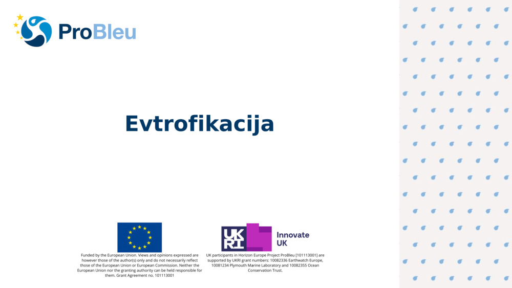 Evtrofikacija