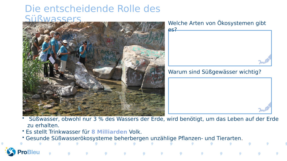 Die entscheidende Rolle des Süßwassers