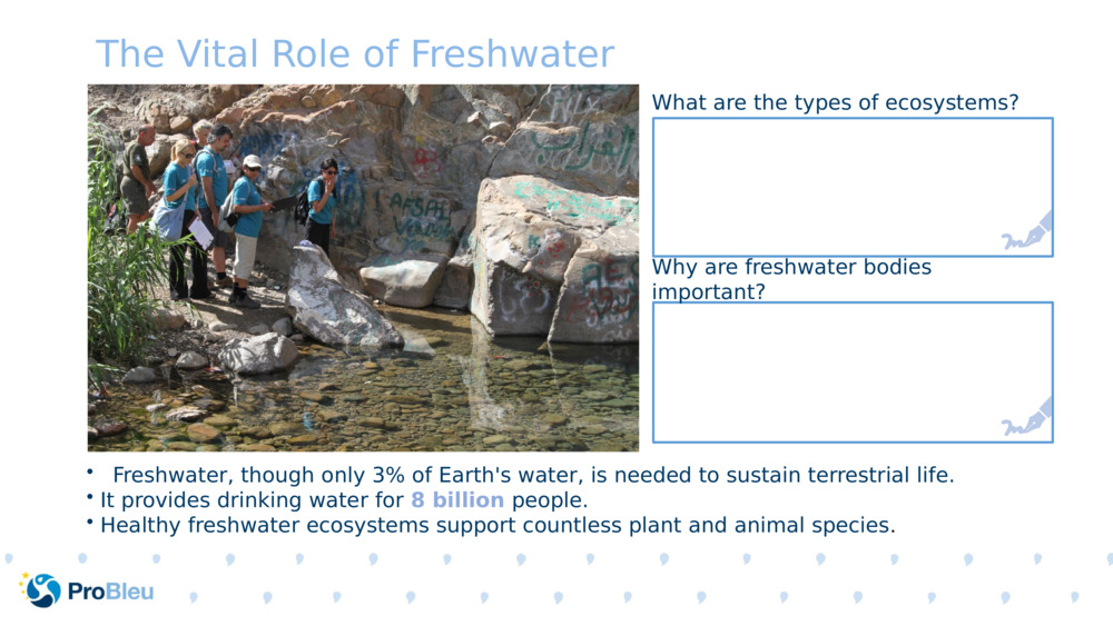 The Vital Role of Freshwater