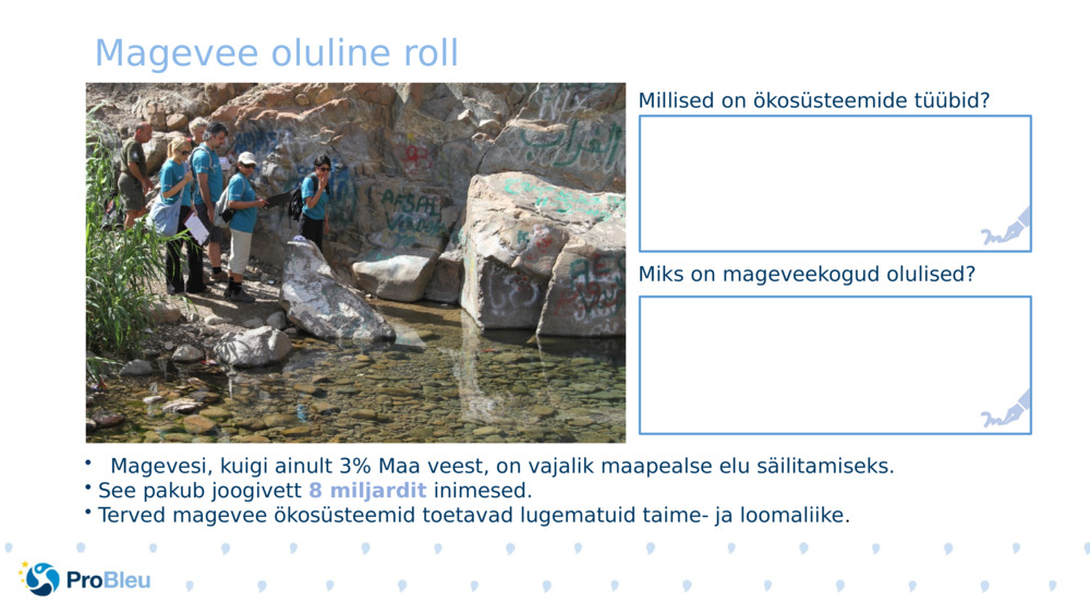 Magevee oluline roll