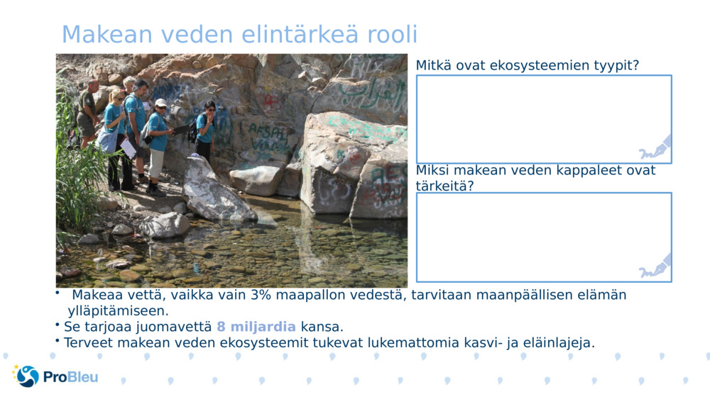 Makean veden elintärkeä rooli