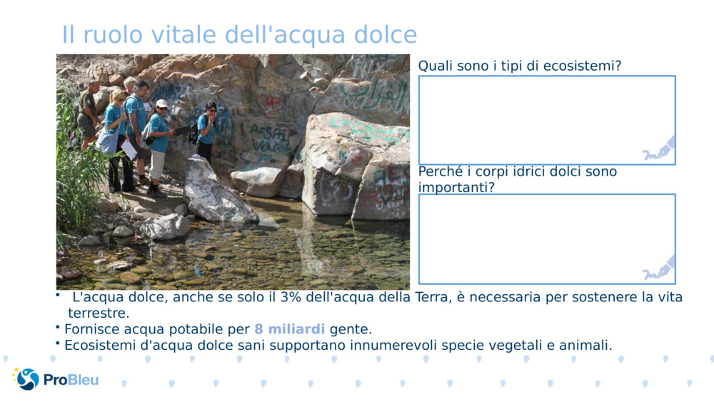 Il ruolo vitale dell'acqua dolce