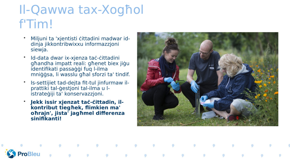 Il-Qawwa tax-Xogħol f'Tim!