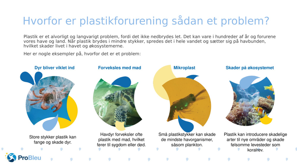 Hvorfor er plastikforurening sådan et problem?