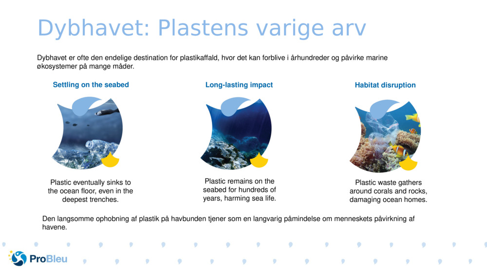 Dybhavet: Plastens varige arv