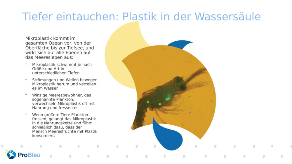 Tiefer eintauchen: Plastik in der Wassersäule