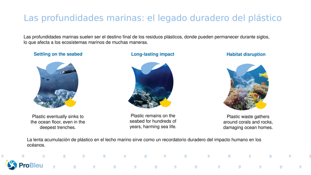 Las profundidades marinas: el legado duradero del plástico