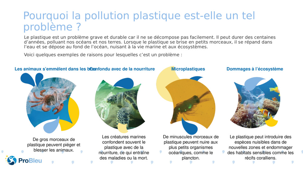 Pourquoi la pollution plastique est-elle un tel problème ?