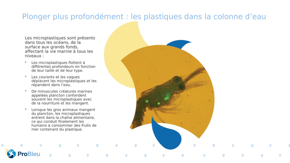 Plonger plus profondément : les plastiques dans la colonne d’eau