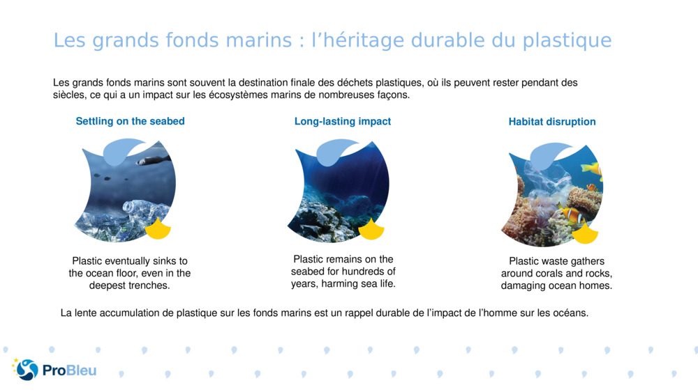 Les grands fonds marins : l’héritage durable du plastique