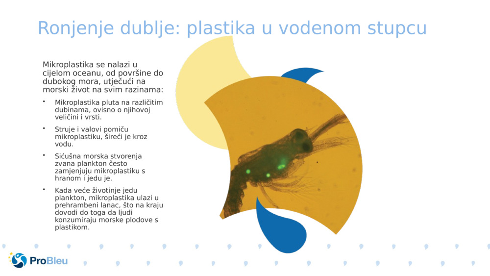 Ronjenje dublje: plastika u vodenom stupcu