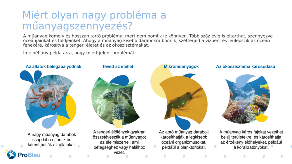 Miért olyan nagy probléma a műanyagszennyezés?