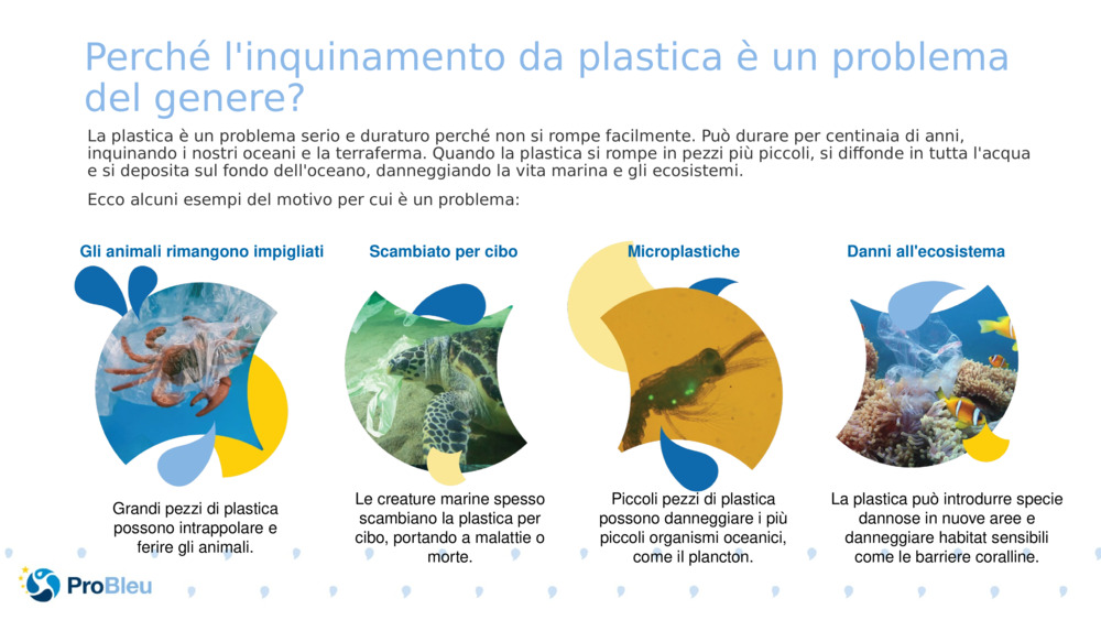 Perché l'inquinamento da plastica è un problema del genere?