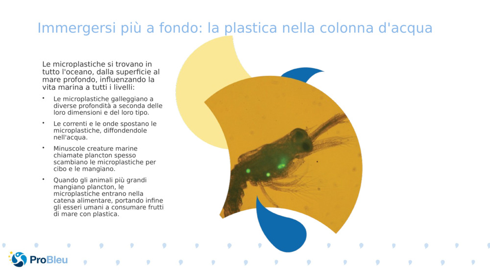 Immergersi più a fondo: la plastica nella colonna d'acqua